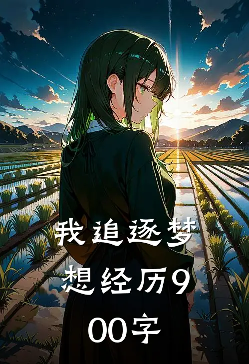 我追逐梦想经历900字