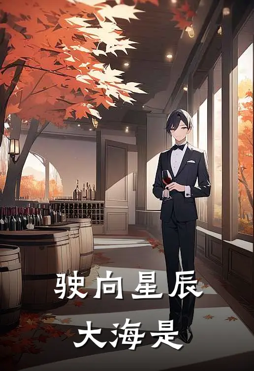 驶向星辰大海是