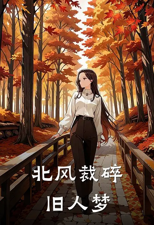 北风裁碎旧人梦